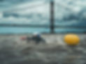 Humber Swim Competitor